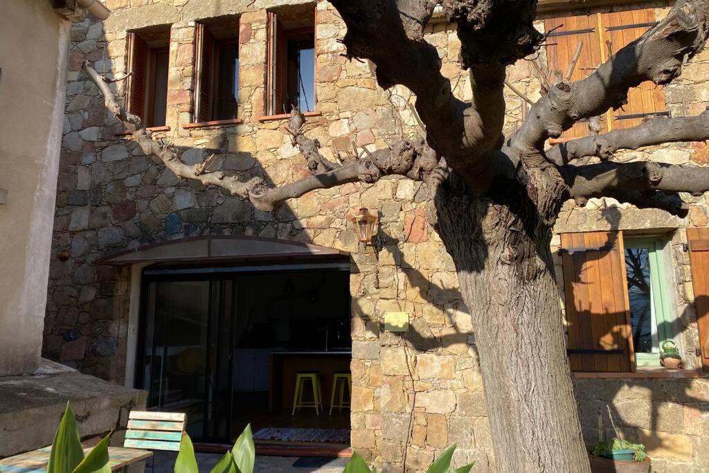 Maison Typique Corse A 10 Min D'Ajaccio Et Plages アラタ エクステリア 写真